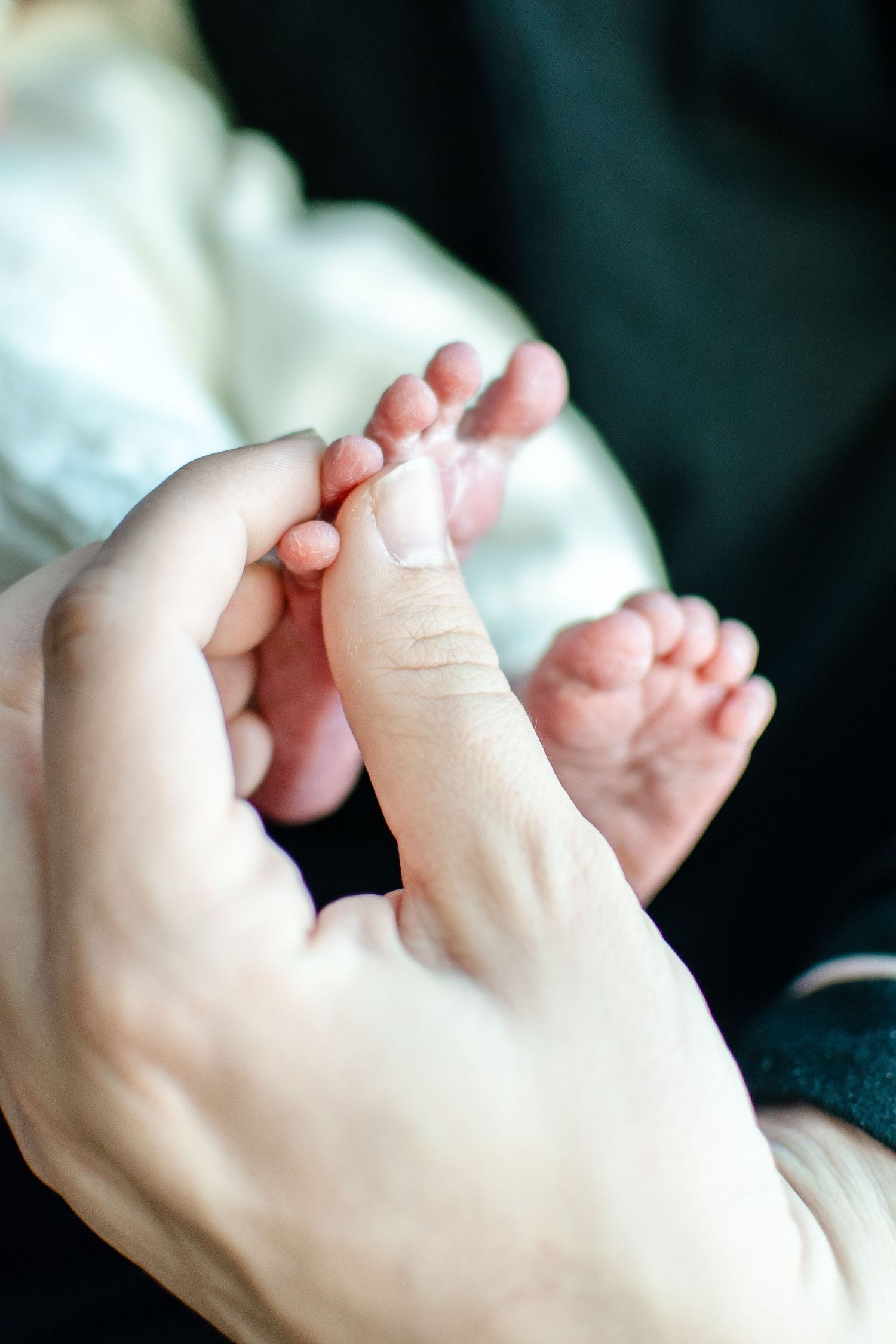 Close up of tiny newborn baby toes being gently held by an adult hand.