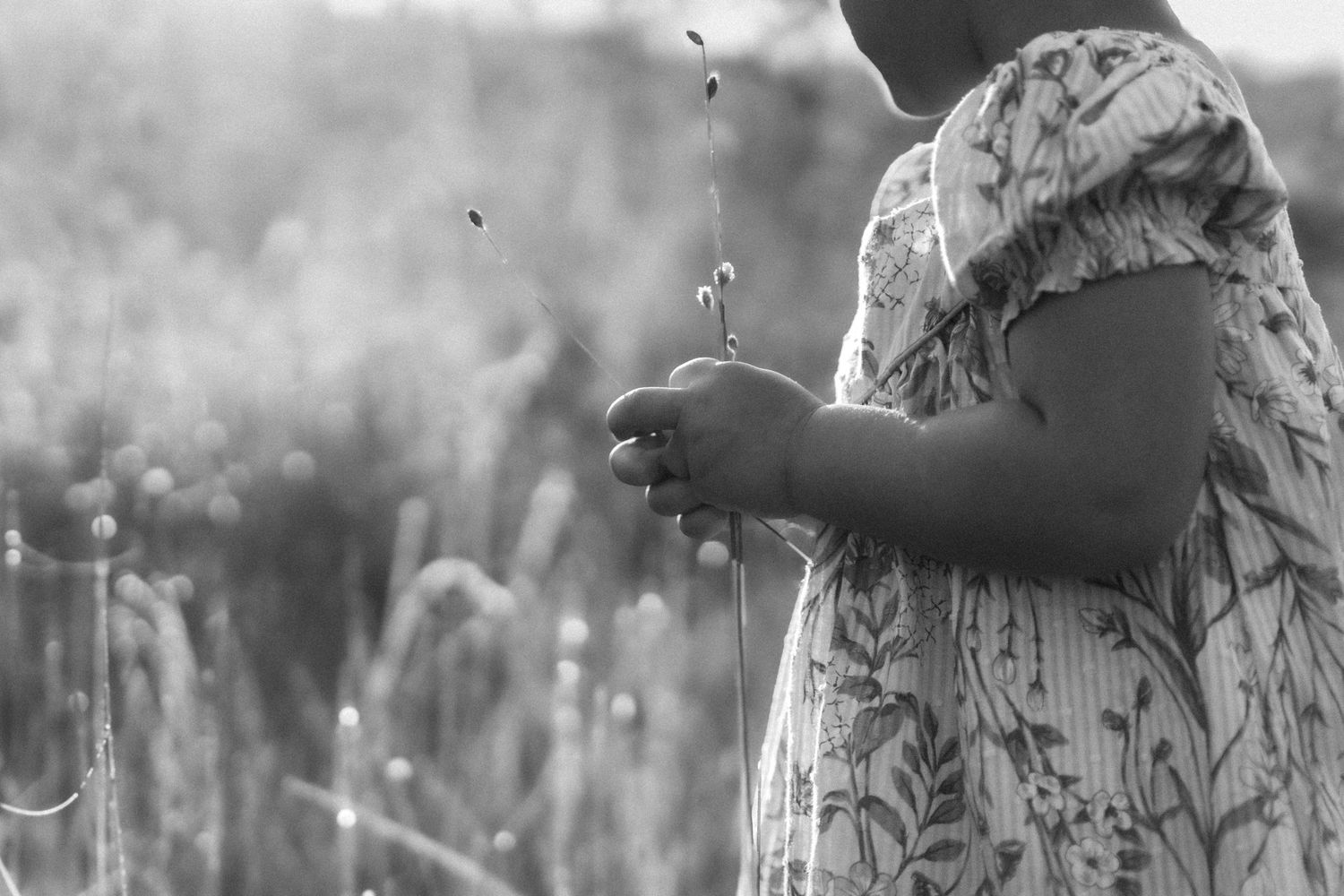 meadow photo shoot