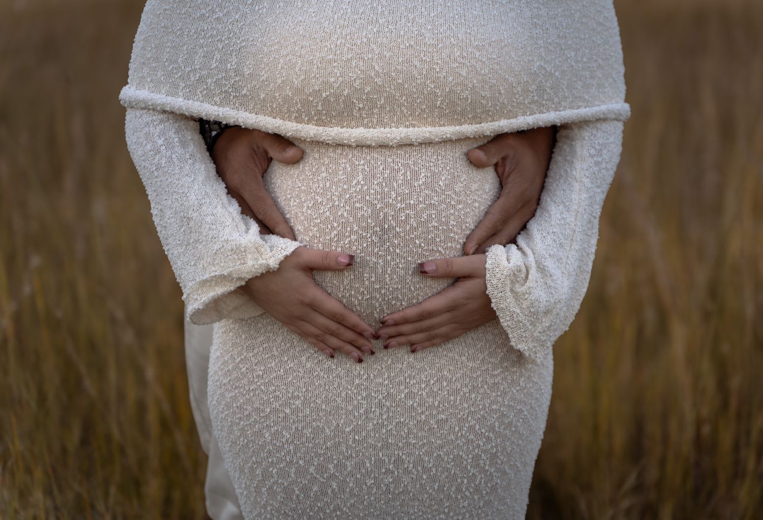 maternity photographer orlando fl