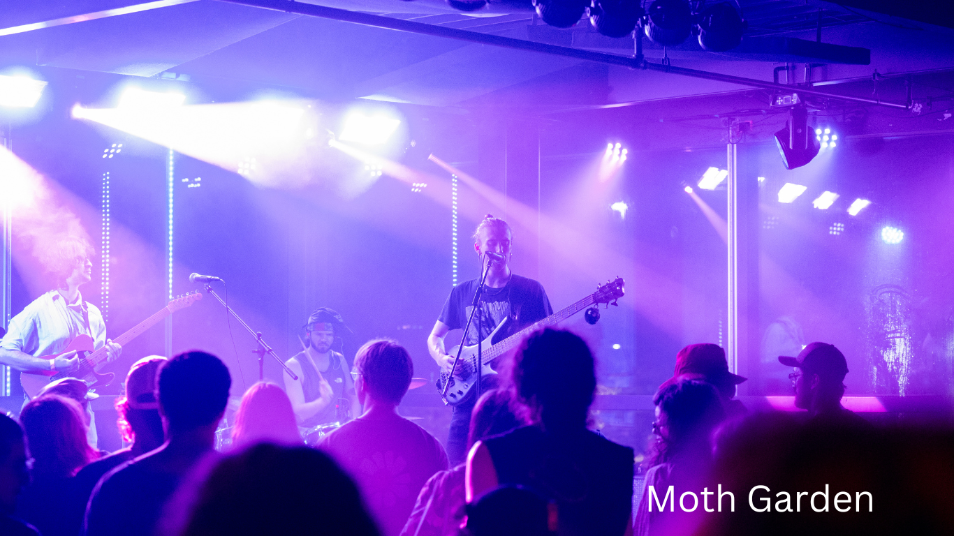 Concert venue photography with purple stage lighting and silhouetted performers.