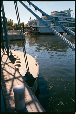 Boat dock with wooden pilings and ropes casting shadows on the water during a sunny day.