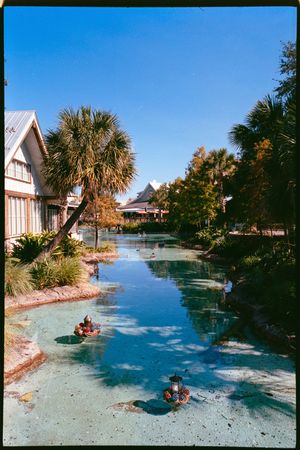 A series of flooded houses along a residential street with palm trees and standing water after a hurricane or flood event.