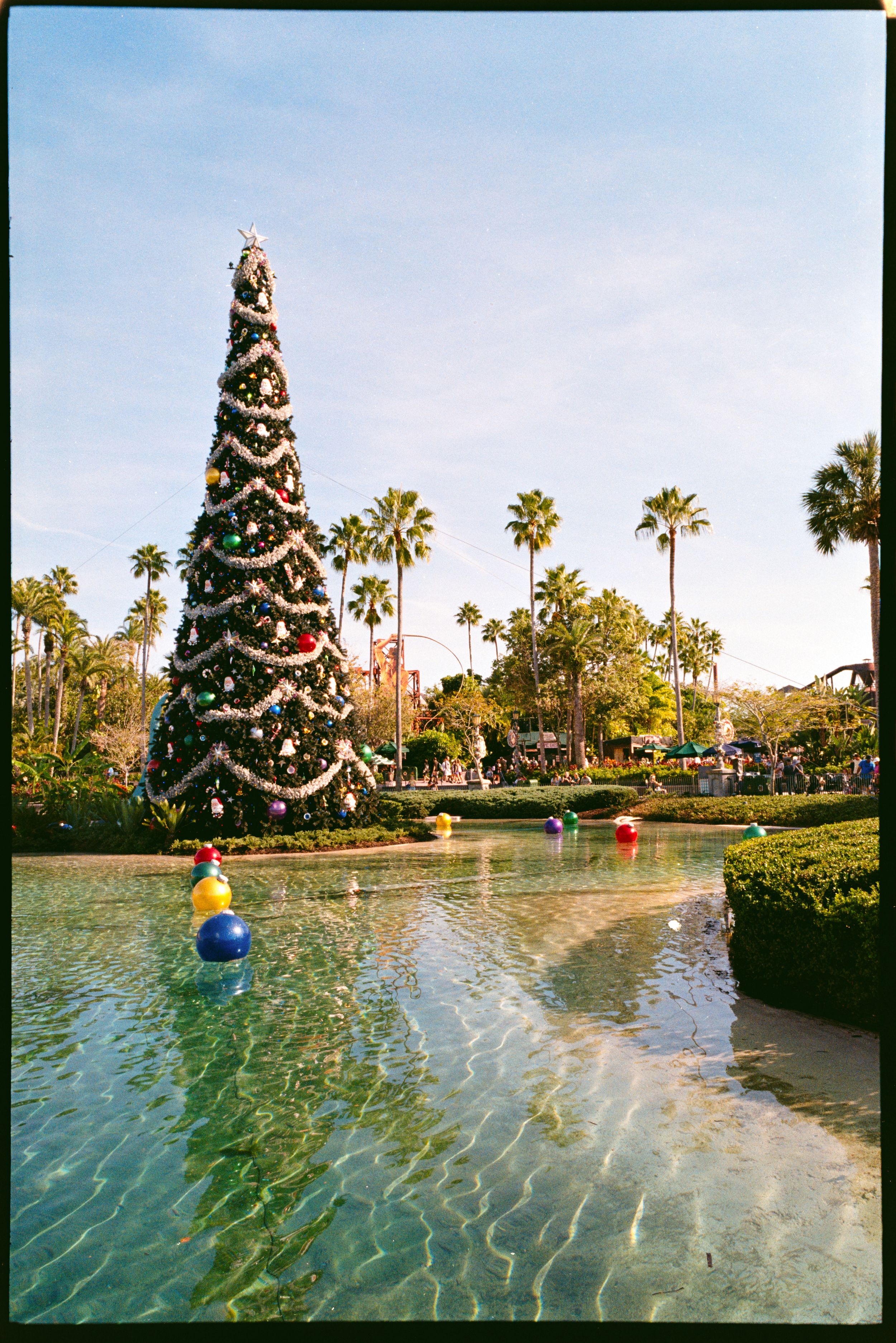 A tall Christmas tree decorated with ornaments stands beside a reflective pool with palm trees in a tropical setting.
