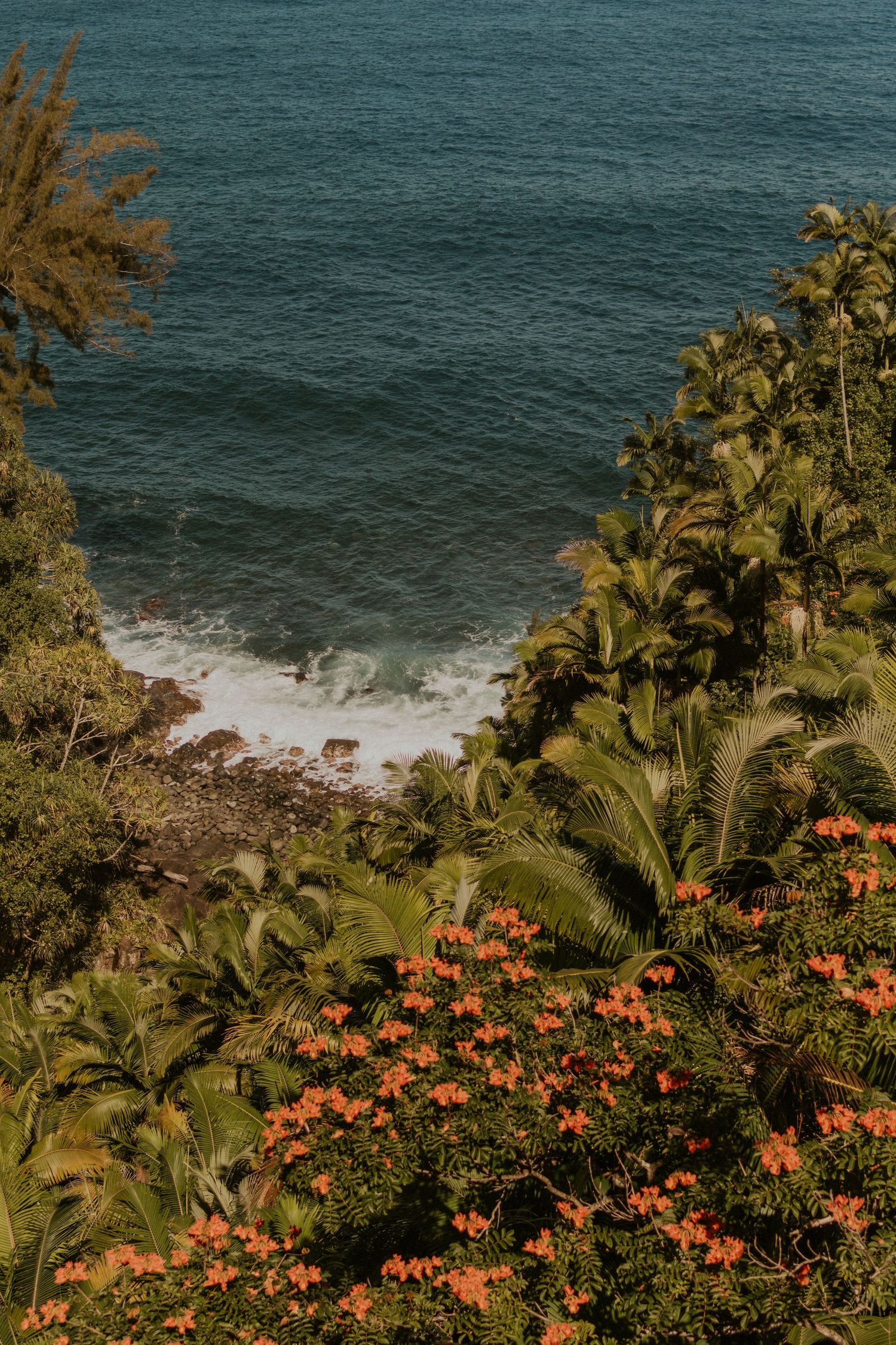 ocean beach with lots of greenery and flowers on the Big Island of Hawaii