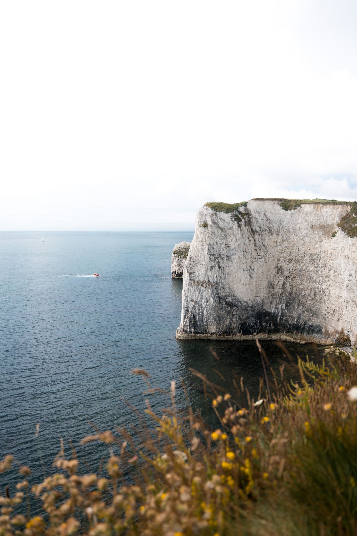 falaises de craie old harry rocks sur la jurassic coast en angleterre