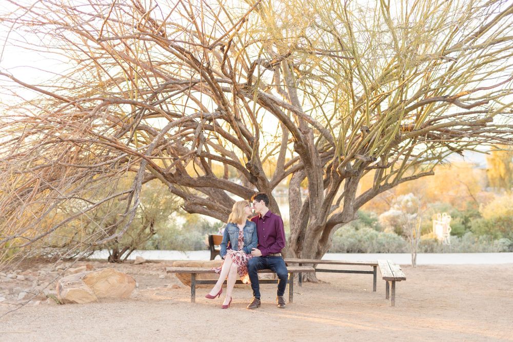 Couple sits on bench beneath sprawling desert tree branches at sunset.