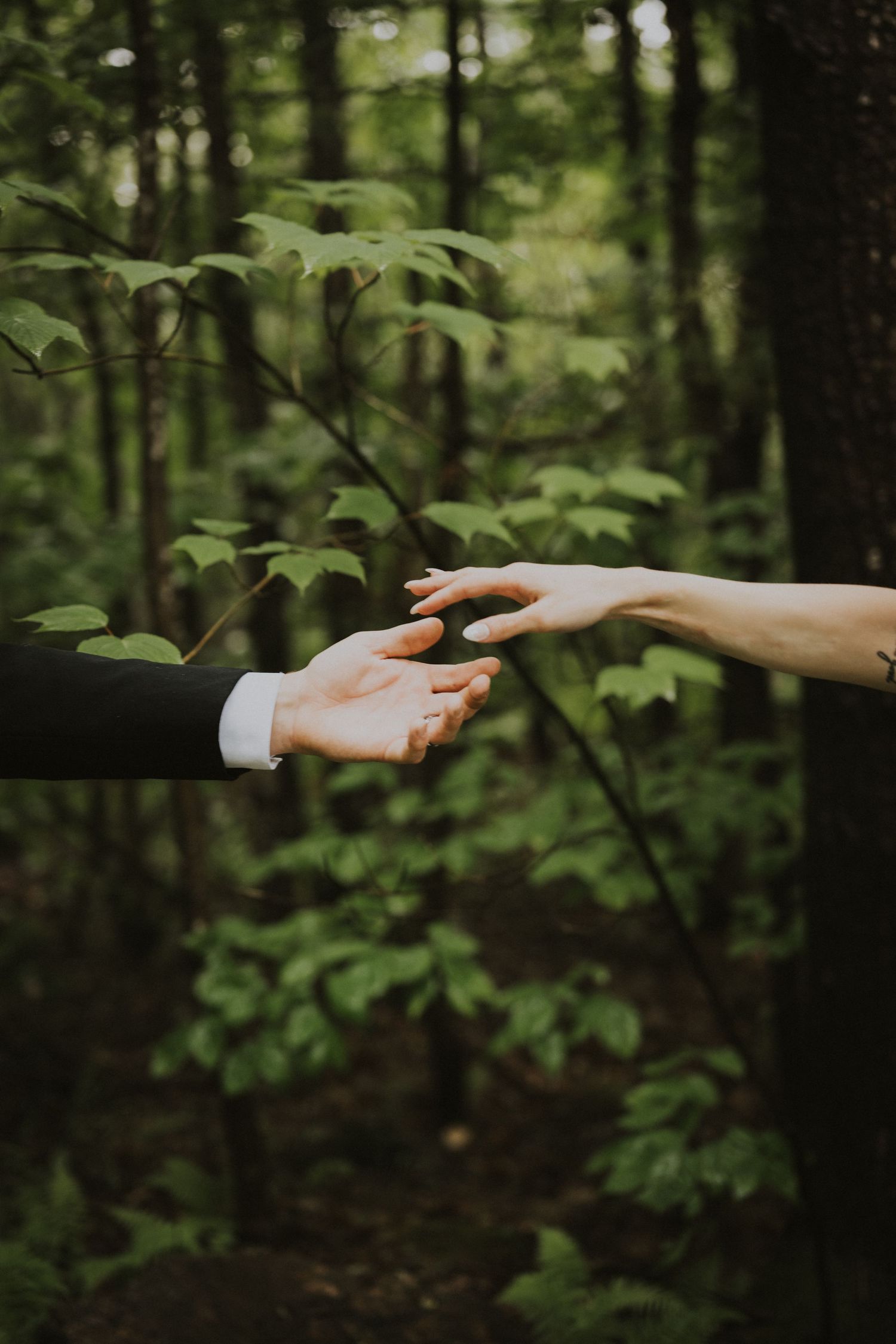 Two hands reaching toward each other in a lush green forest, symbolizing connection and love.