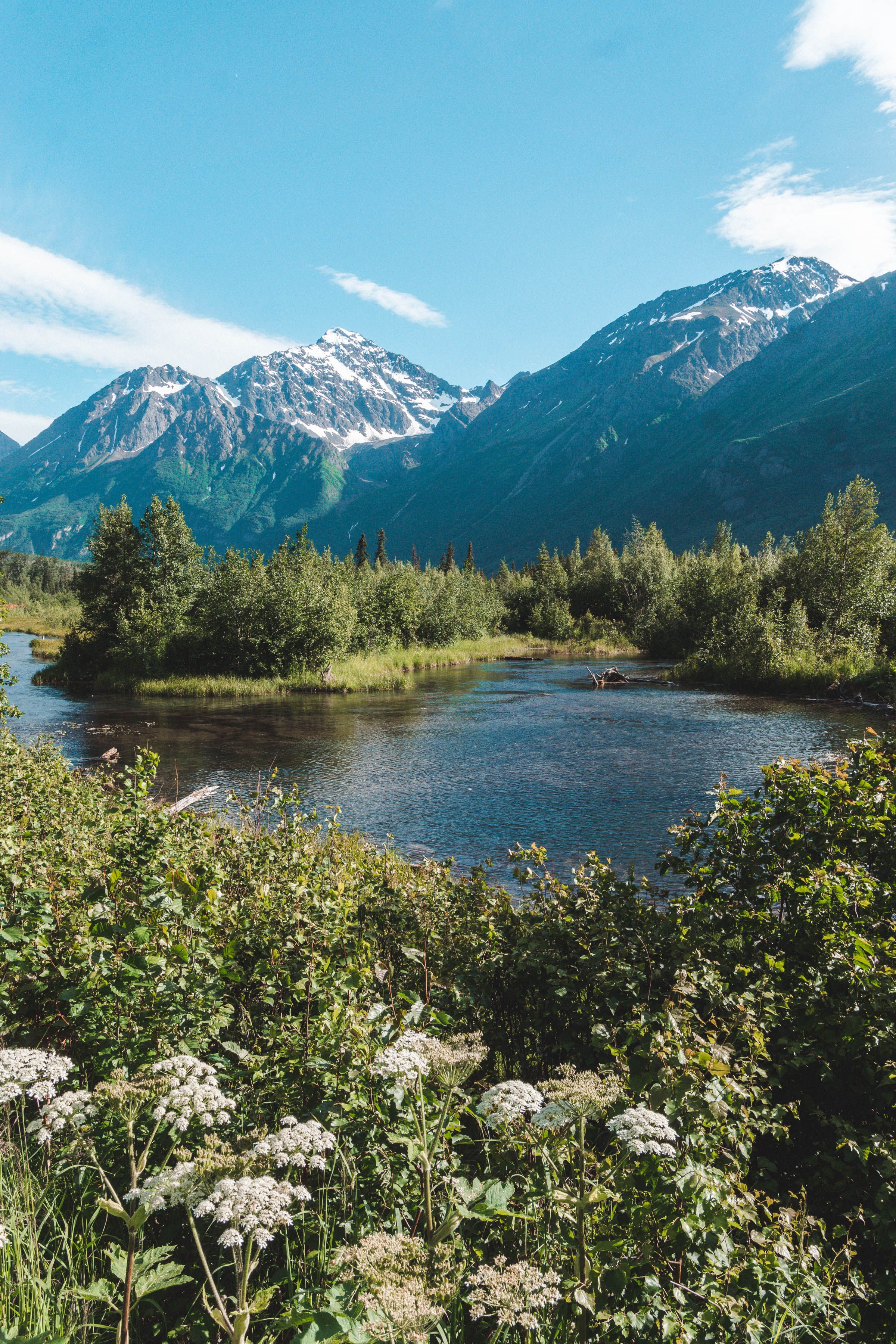 Scenic Alaska landscape with snow-capped mountains, blue lake, and wildflowers under a clear sky.
