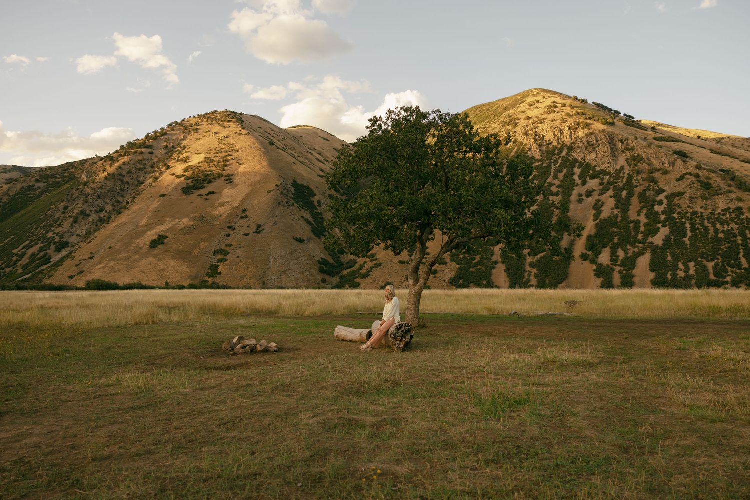 A serene landscape featuring mountains and a lone tree in golden evening light.