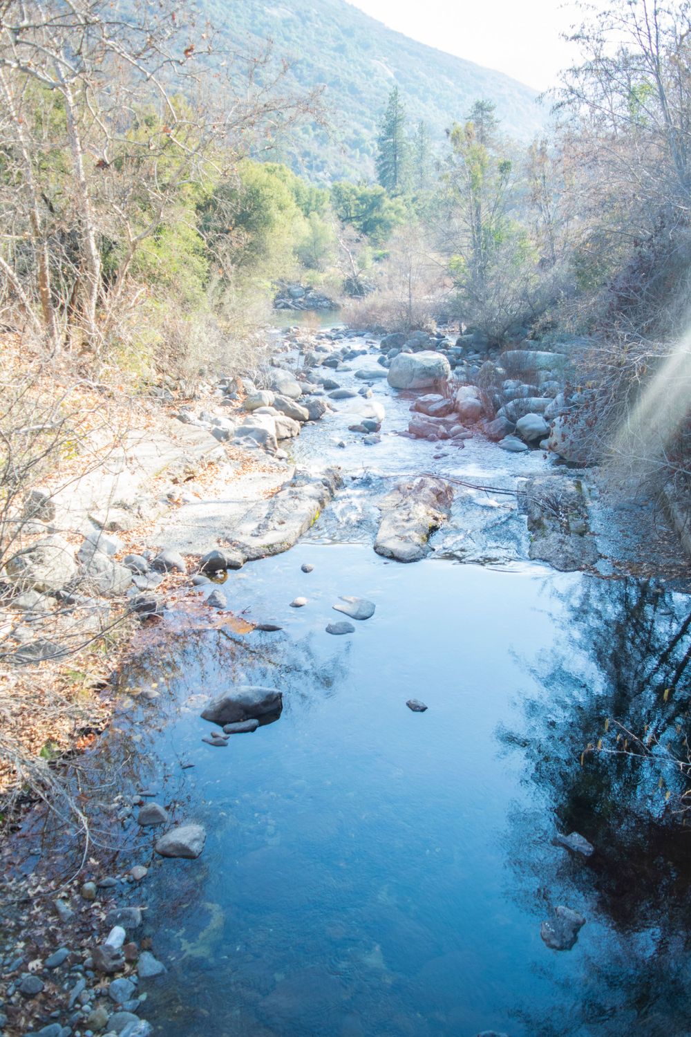 Rocky mountain stream with clear reflective water flowing between boulders and trees.