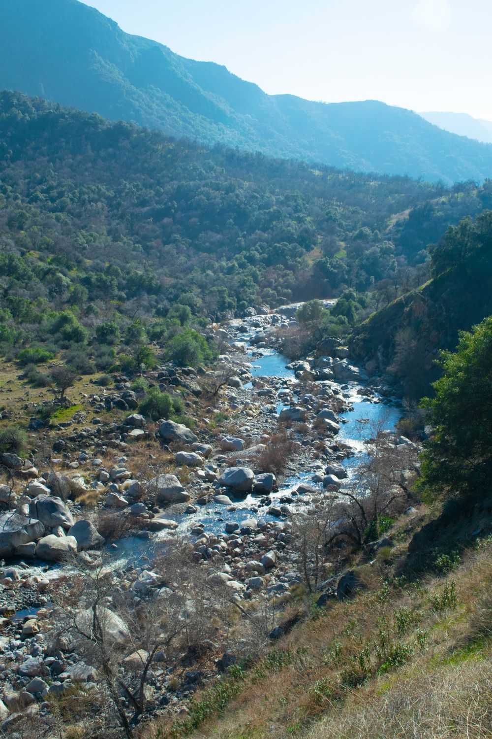 Aerial view of rocky river canyon with turquoise water flowing through mountainous wilderness.
