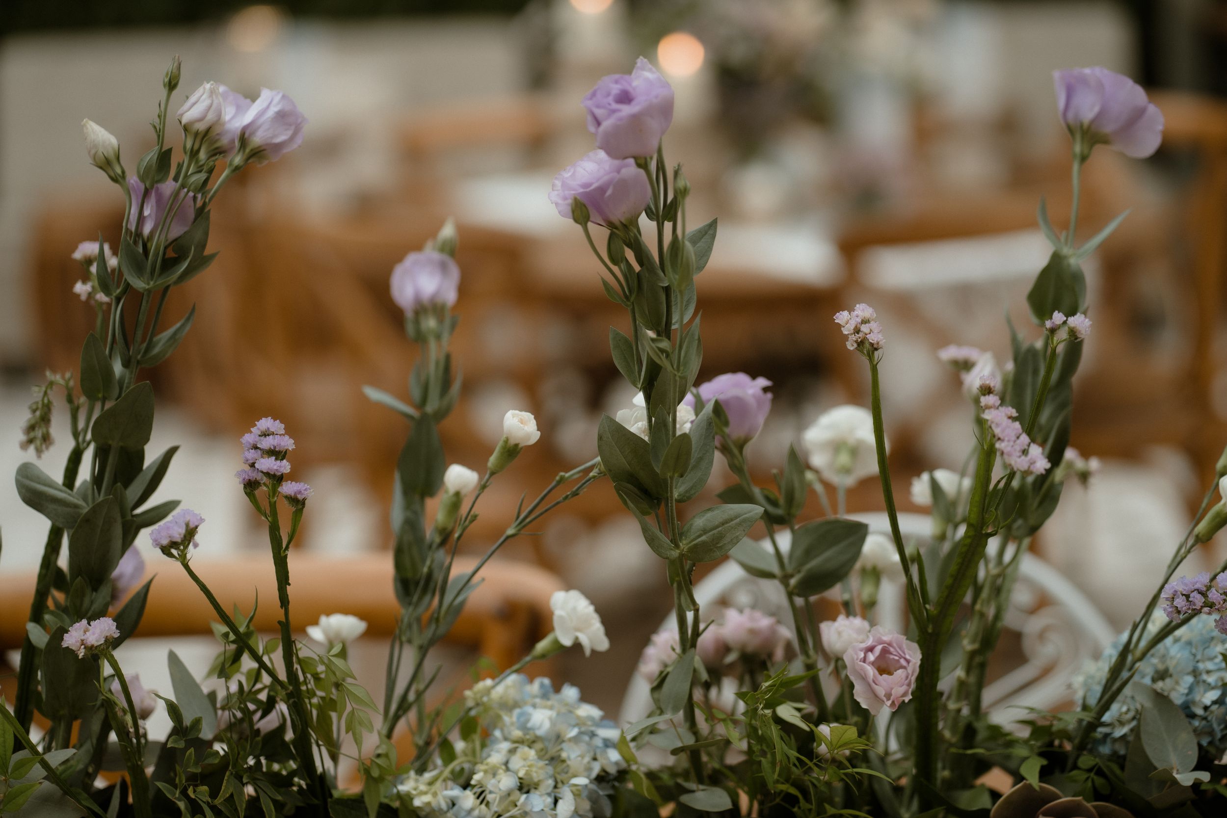 Close-up of delicate purple and white wildflowers in a romantic garden setting.