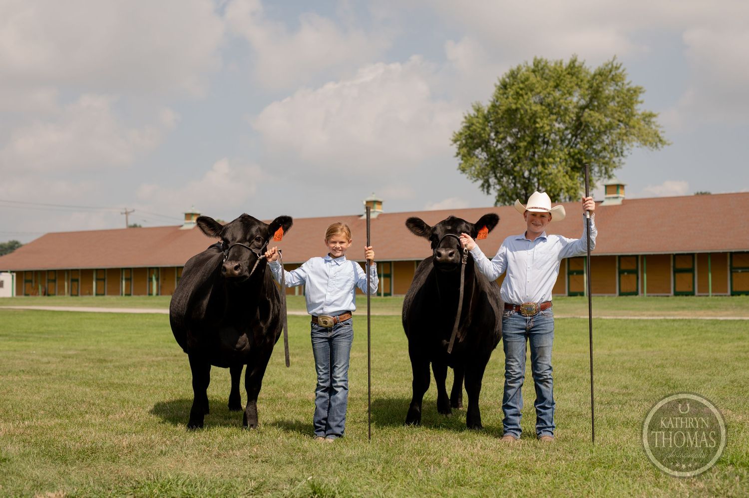 Two black show cattle stand with their handlers on grassy field with buildings in background.