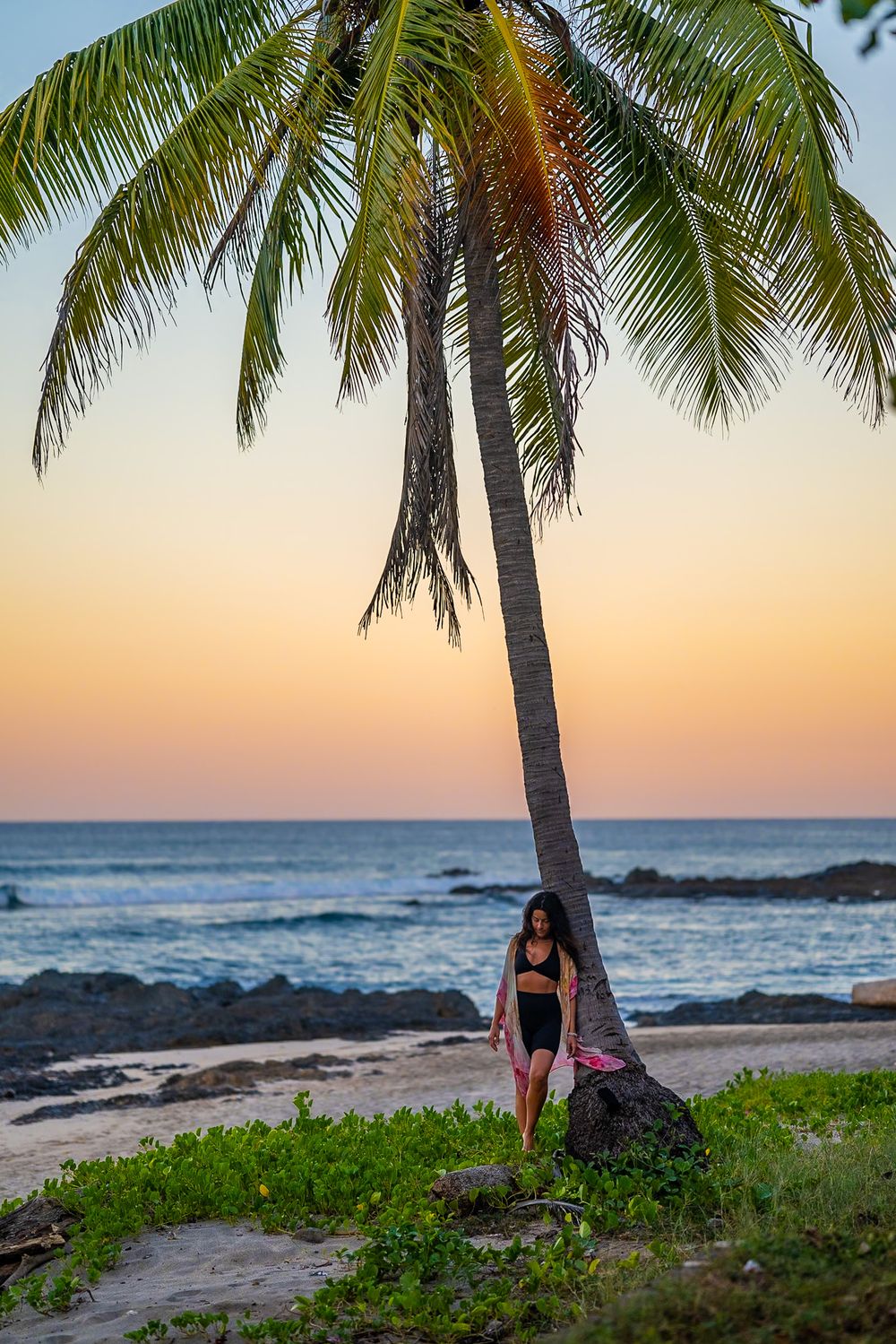 Tropical beach scene with palm tree and figure standing beneath at sunset.