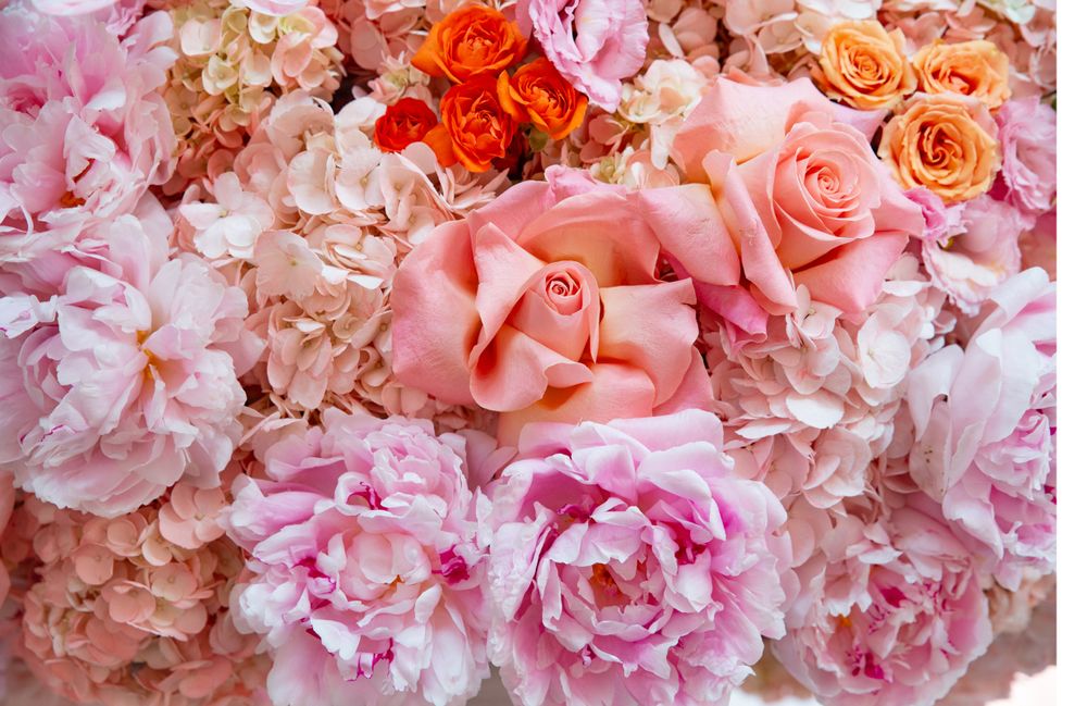 Close-up of lush pink, peach and coral roses and peonies in a romantic floral arrangement.
