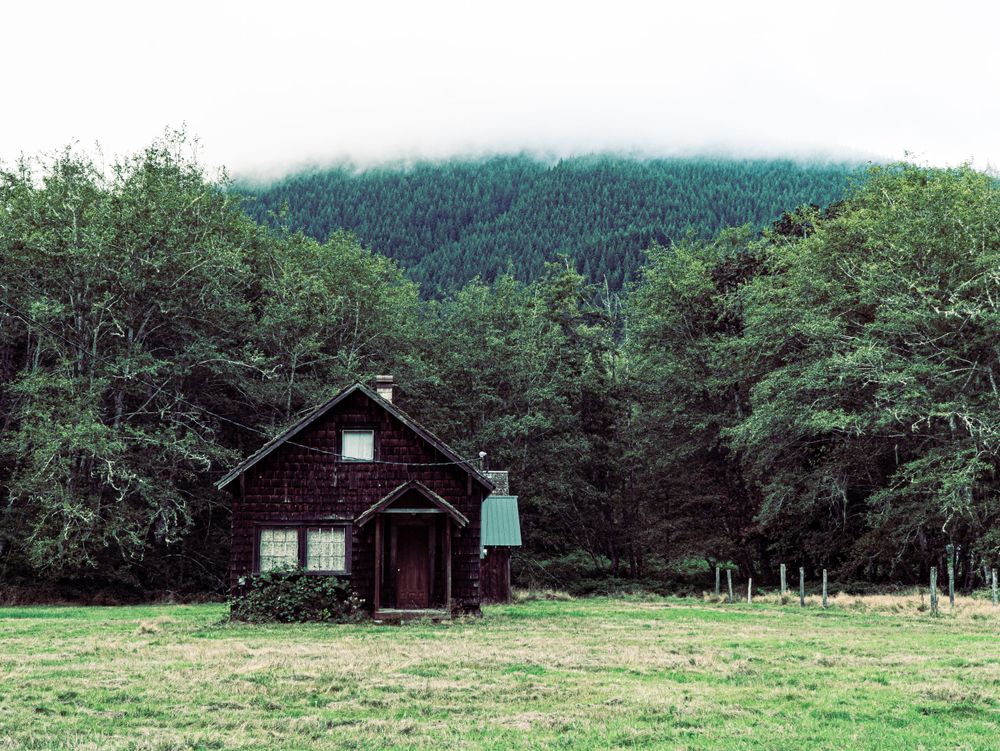 A rustic wooden cabin nestled in the forest with misty mountains visible in the background.