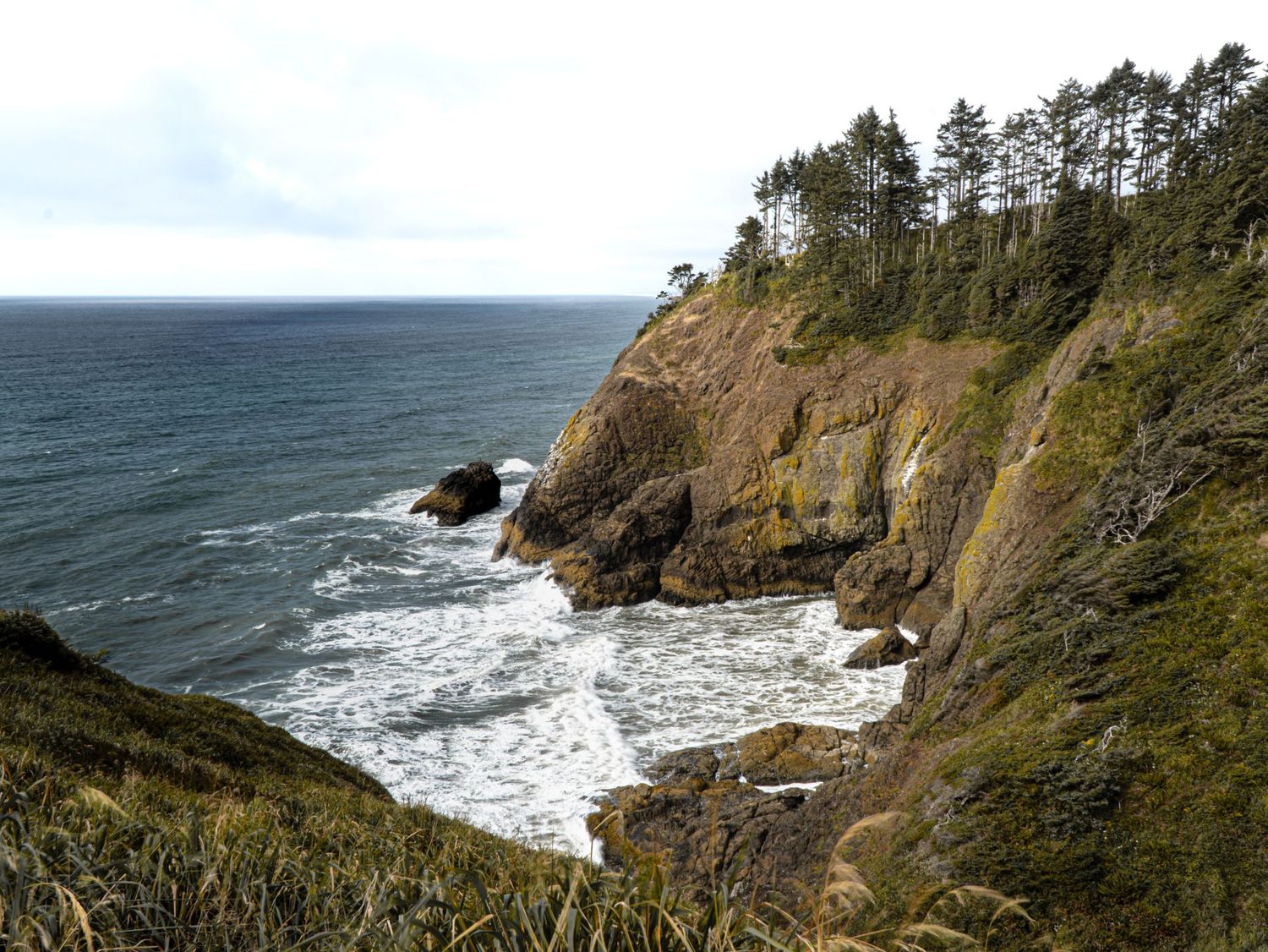 Rocky coastal cliffs overlooking crashing waves against the Oregon coastline.