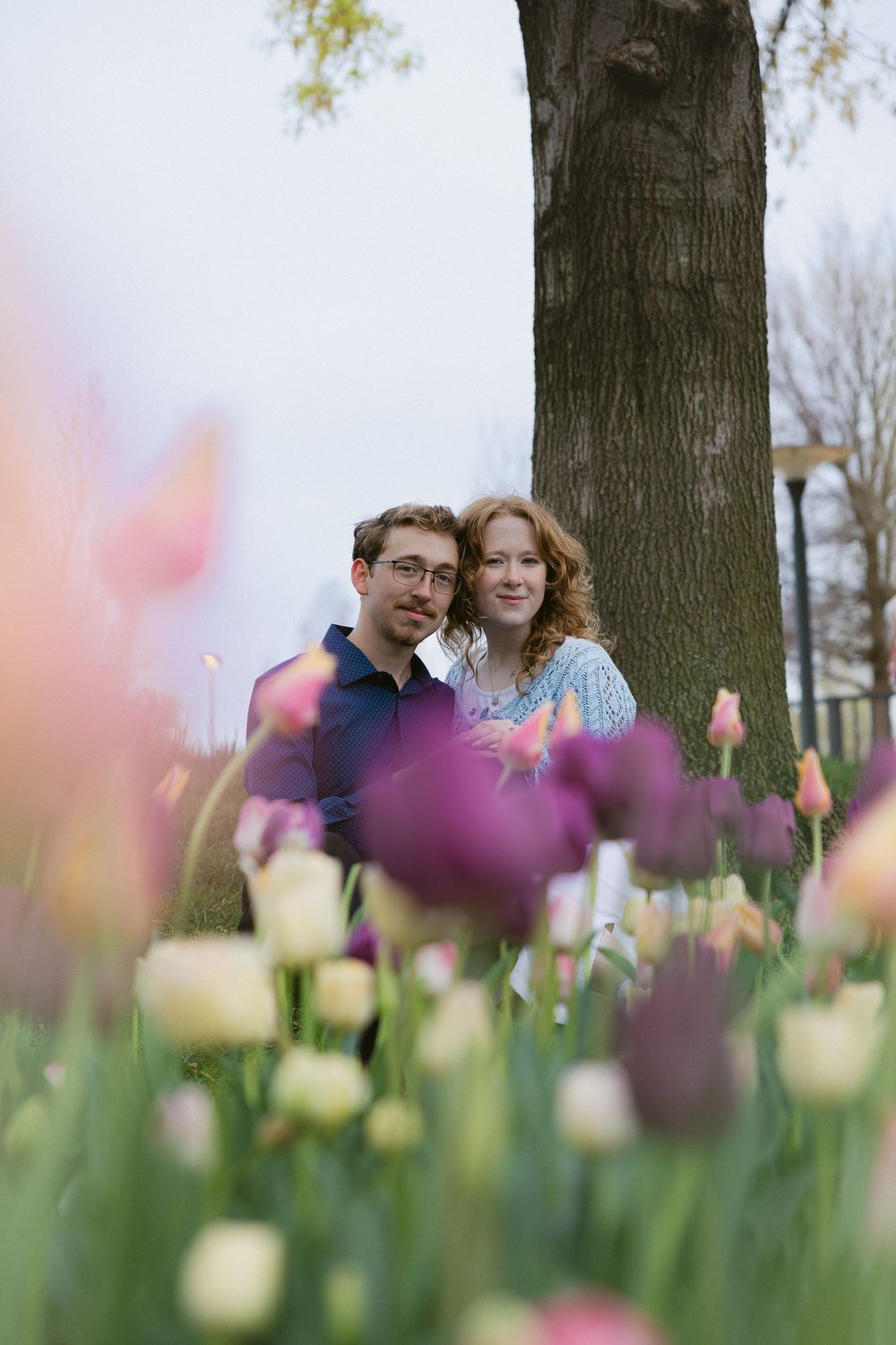 A romantic spring portrait through colorful tulips with a tree trunk in the background.