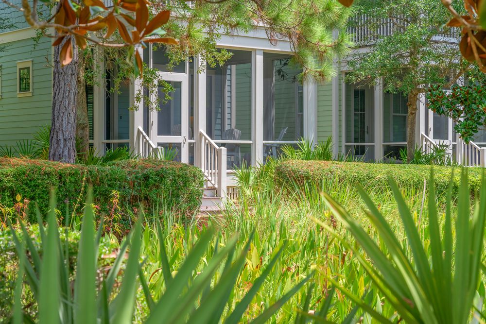 Lush green palm fronds sway against a white siding house exterior in tropical residential landscaping.