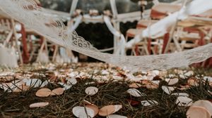 A row of delicate white mushrooms growing on a forest floor covered in brown leaves and pine needles.