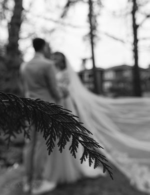 Black and white artistic wedding portrait with pine branches in soft focus foreground.