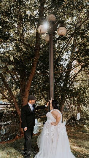 Romantic outdoor wedding scene under a canopy of trees with sunlight filtering through branches.