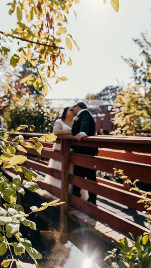 Autumn leaves frame a wooden bridge deck on a sunny afternoon.