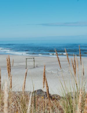 Beach grass frames a scenic view of the Pacific Ocean coastline with waves rolling onto a sandy shore on a sunny day.