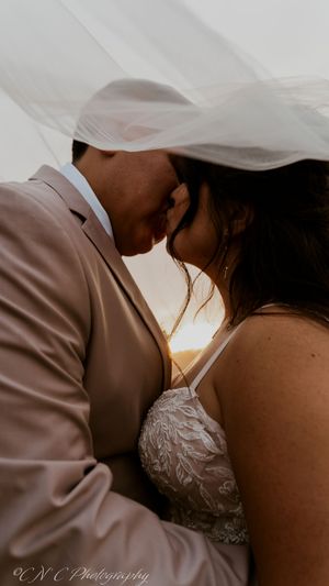 Intimate wedding couple moment captured during golden hour with flowing veil and soft lighting.
