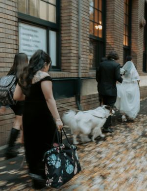 A sequence of photos showing someone helping adjust a wedding dress train on a brick-lined walkway with autumn leaves.