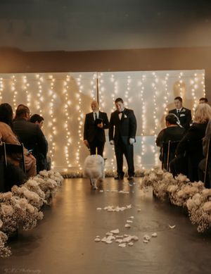 Wedding ceremony aisle decorated with white flower petals and string lights.