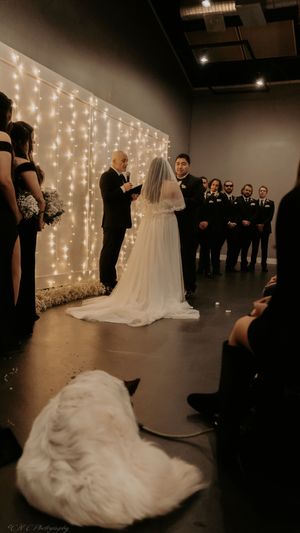 An indoor wedding ceremony with twinkling string lights creating a magical ambiance against dark walls.