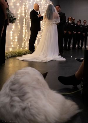 A white-gowned bride and formally dressed groom stand at the altar with string lights twinkling behind them.