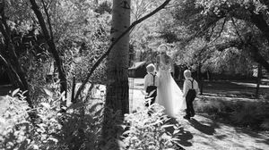 A romantic black and white wedding photo captured through trees in a sunlit outdoor setting.