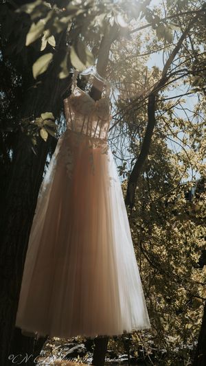 A delicate blush wedding dress hangs from a tree branch in dappled sunlight creating a dreamy ethereal scene.