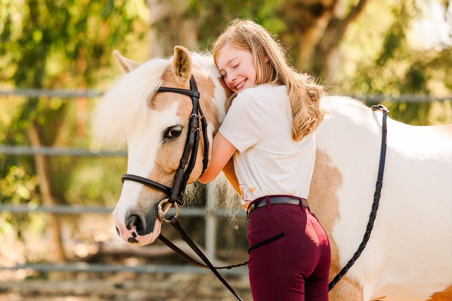 White horse and rider sharing an affectionate moment in a sunny outdoor setting.