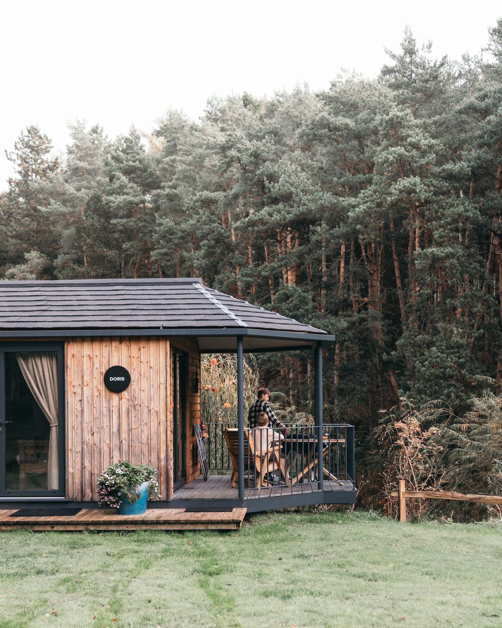 Cozy wooden cabin with a covered porch deck nestled against a pine forest backdrop.