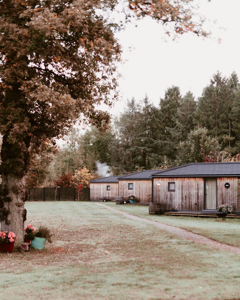 Panoramic view of rustic wooden cabins nestled among autumn trees on a grassy campground.