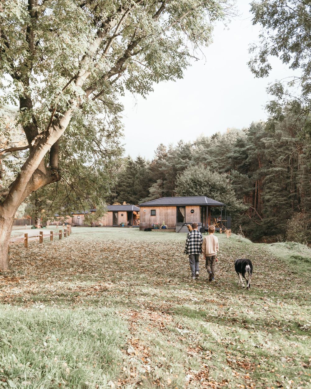 A rustic ranch house sits among autumn trees while a couple walks their black dog on a winding dirt path.