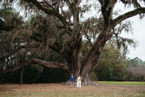 Bride and groom stand together beneath a massive live oak tree draped in Spanish moss on an open grassy lawn under an overcast sky.