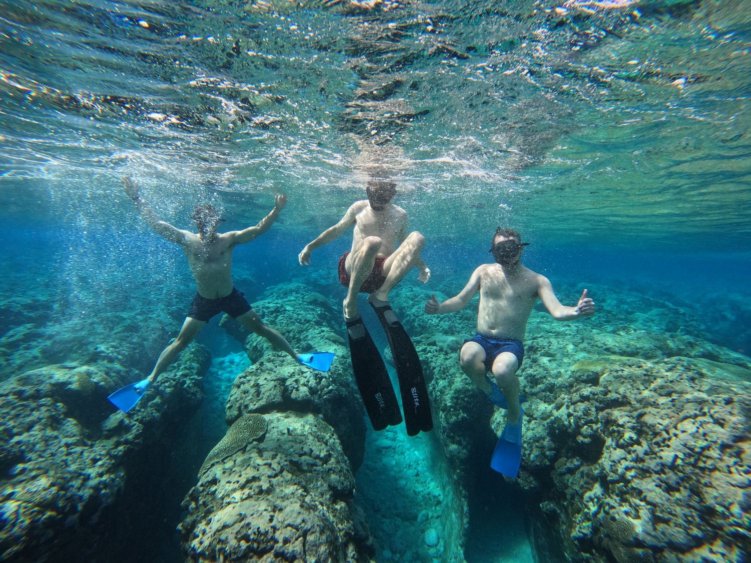 Snorkelers exploring vibrant coral reefs in crystal clear tropical waters.