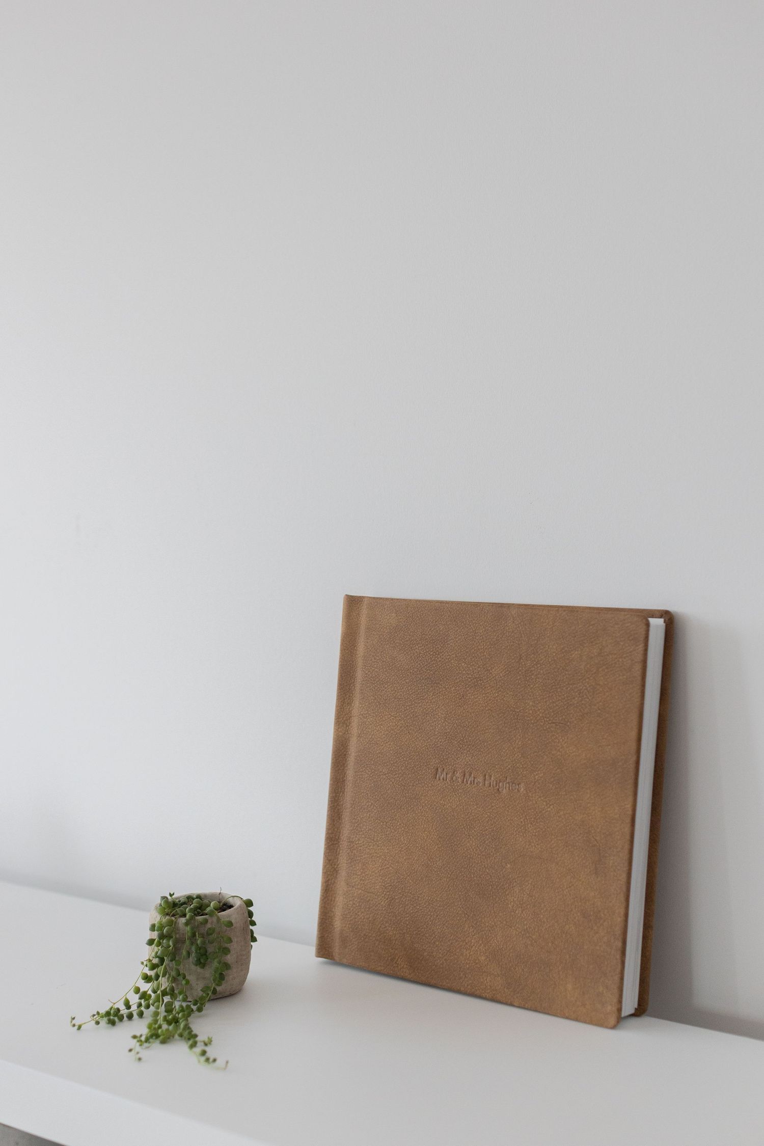 Brown leather-bound book photographed in minimalist sequence with small green plant against white wall.