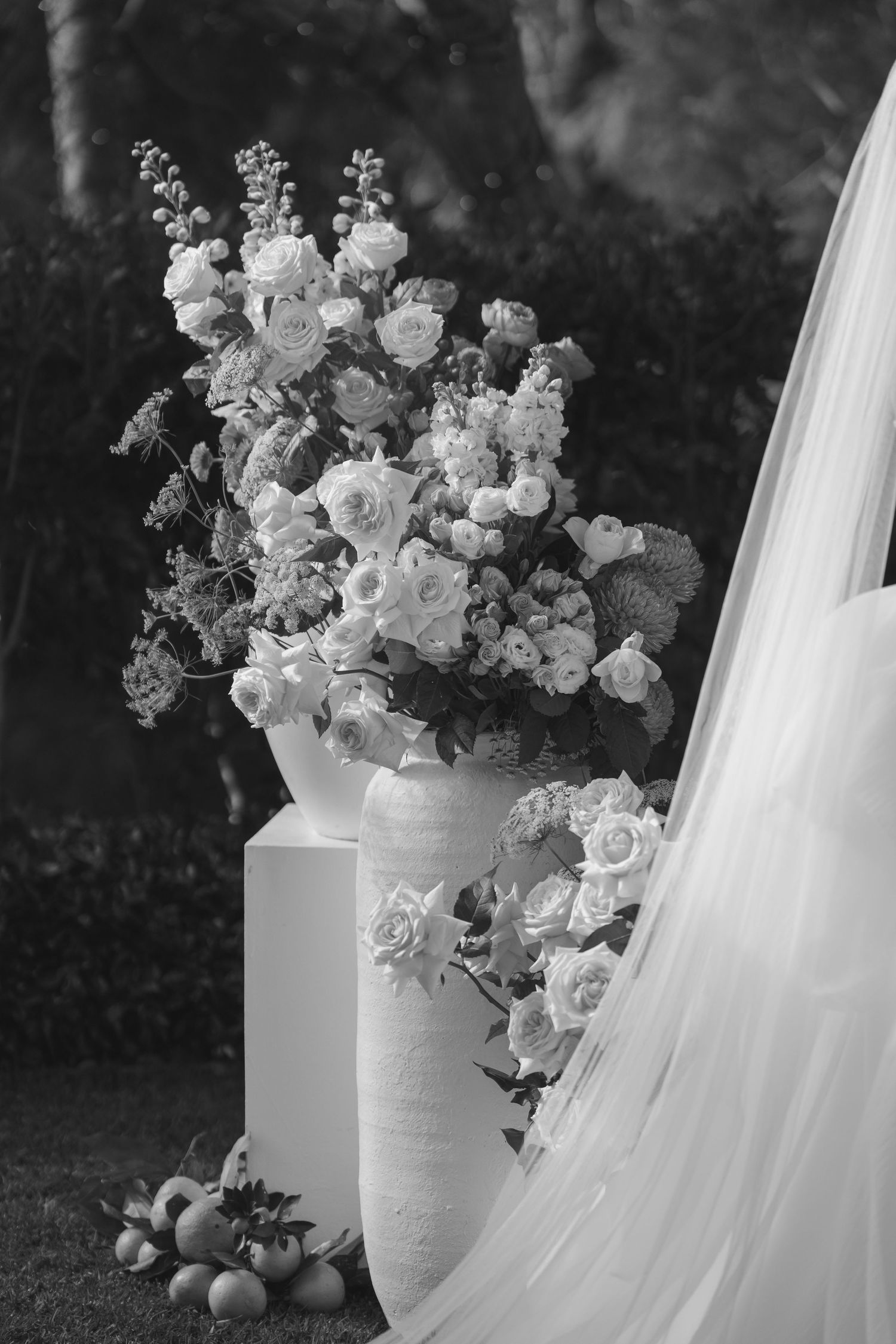 Spicers Clovelly Estate Montville Wedding - Sunshine Coast Wedding Photographer