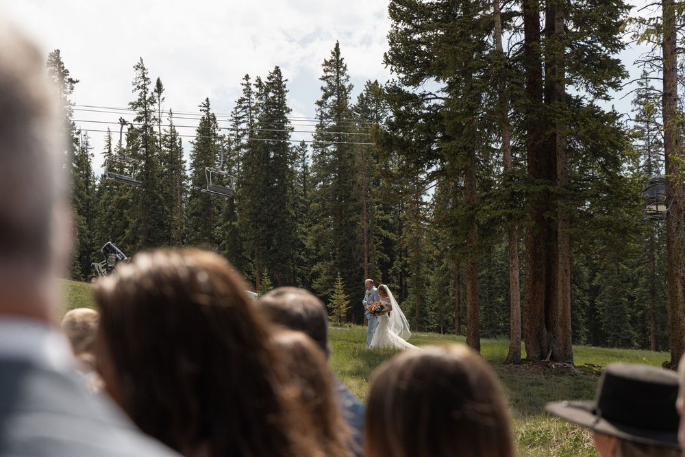 Outdoor wedding ceremony in a pine forest with bride and groom kissing as guests watch from the foreground.