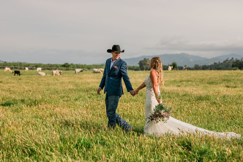 Bride and groom holding hands walking through green field with cattle and mountains in background on wedding day.