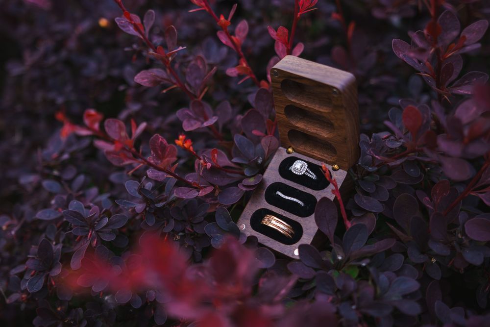 Wedding rings displayed in a wooden ring box nestled among deep purple foliage.