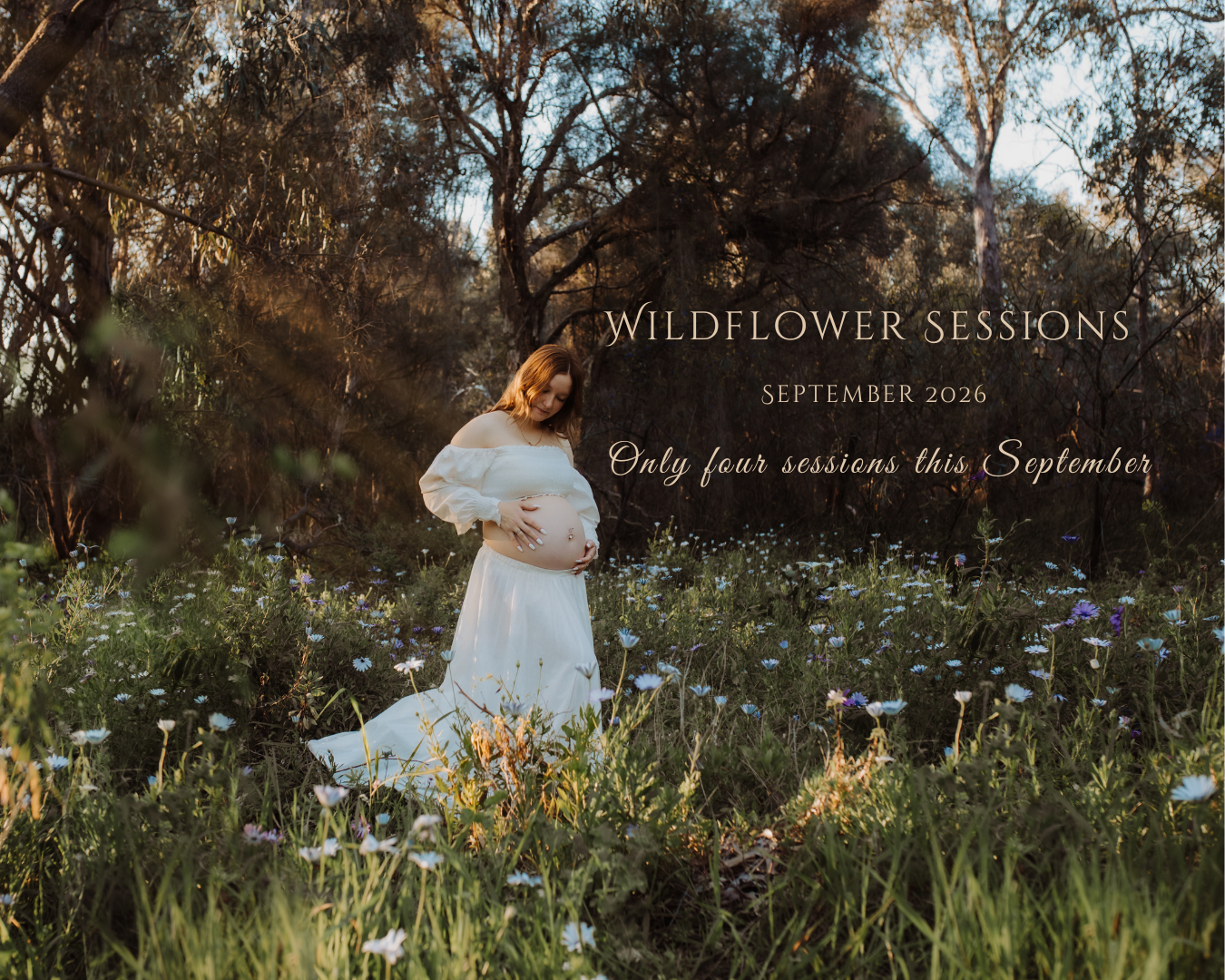 Wildflower Rockingham Perth sessions, Rockingham Maternity, Family, newborn photographer. sunset, golden hour