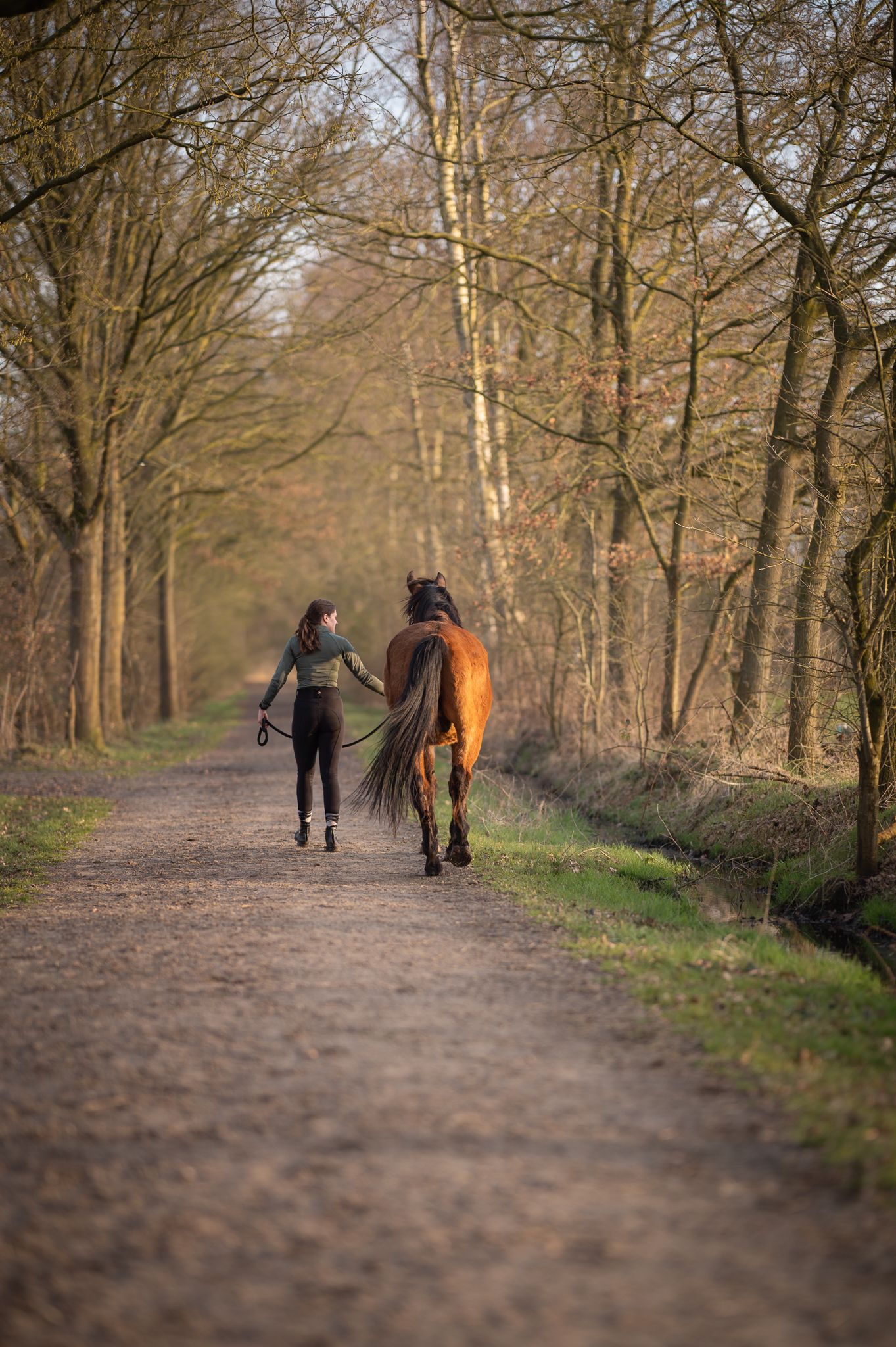 Woman leading a bay horse down a tree-lined dirt path in a forest during early spring.