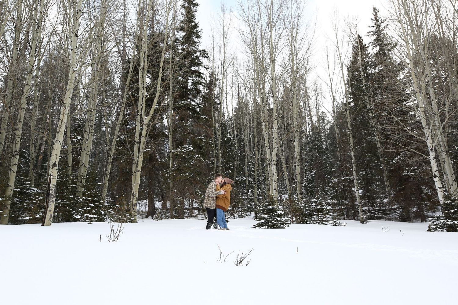 Couple embraces in a snow-covered clearing surrounded by tall birch and evergreen trees on a quiet winter day.