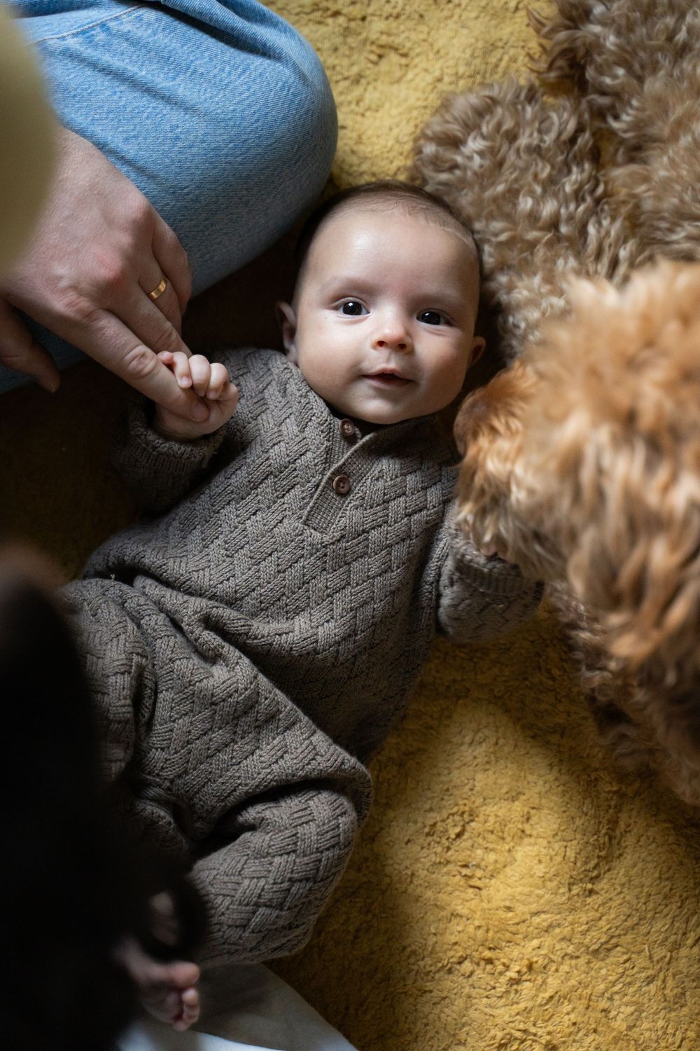 Adorable baby in knit onesie lying on yellow blanket, holding adult hand with a fluffy dog nearby.